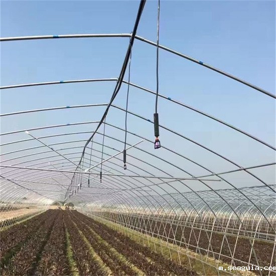 倒挂微喷 倒挂微喷