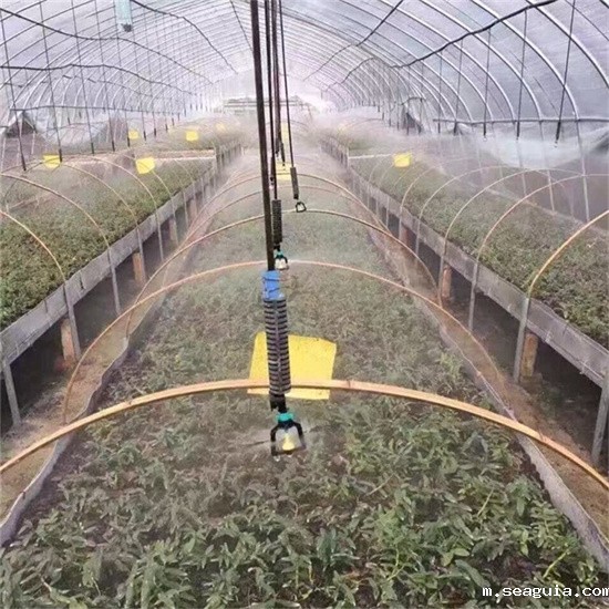 倒挂微喷 倒挂微喷