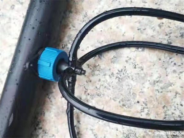 一出四滴箭 一出四滴箭