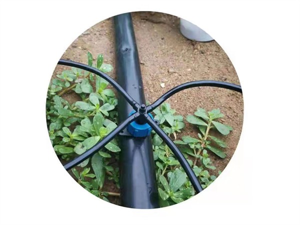 济宁滴箭 济宁滴箭