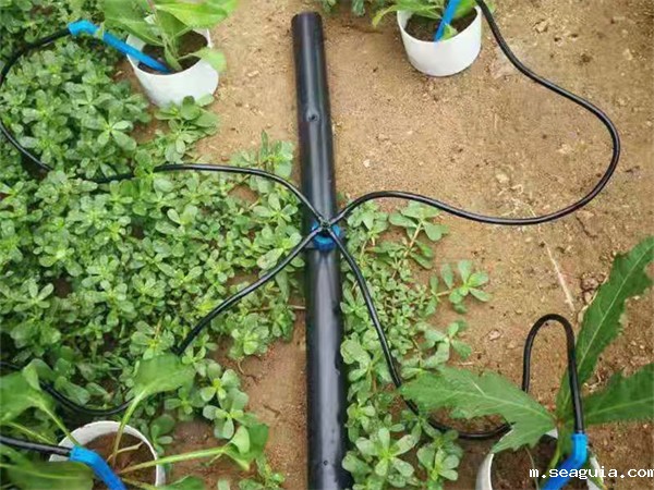 滴箭价格 滴箭价格