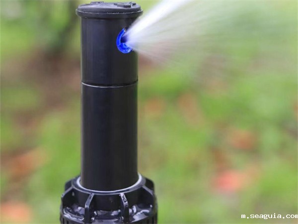 pe世界杯48队晋级规则是什么