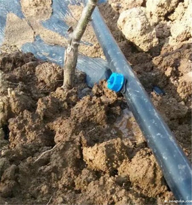 压力补偿式滴头