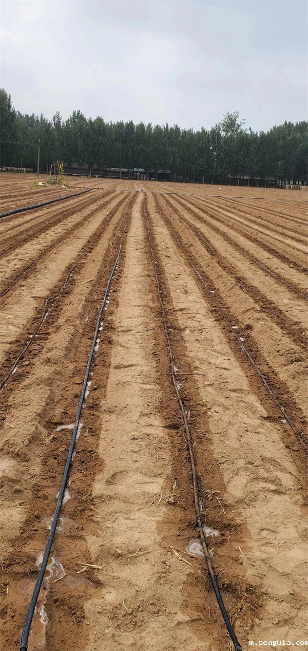 山东农田滴灌厂家