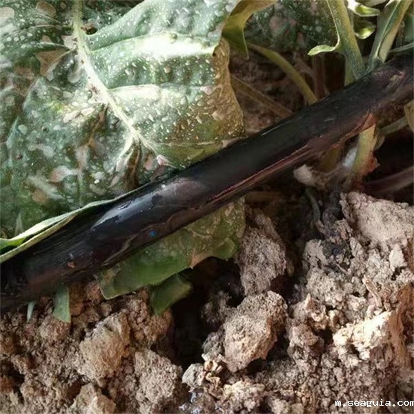 贴片滴灌带厂家